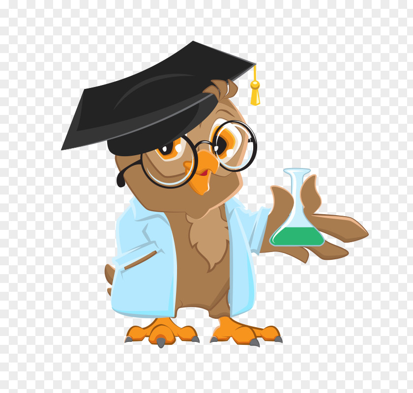 Aducation Cartoon Owl Vector Graphics Royalty-free Stock Illustration PNG