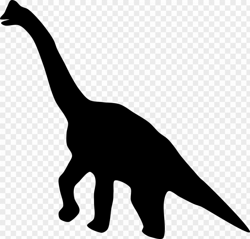 Dinosaur Tyrannosaurus Spinosaurus Giganotosaurus Triceratops PNG