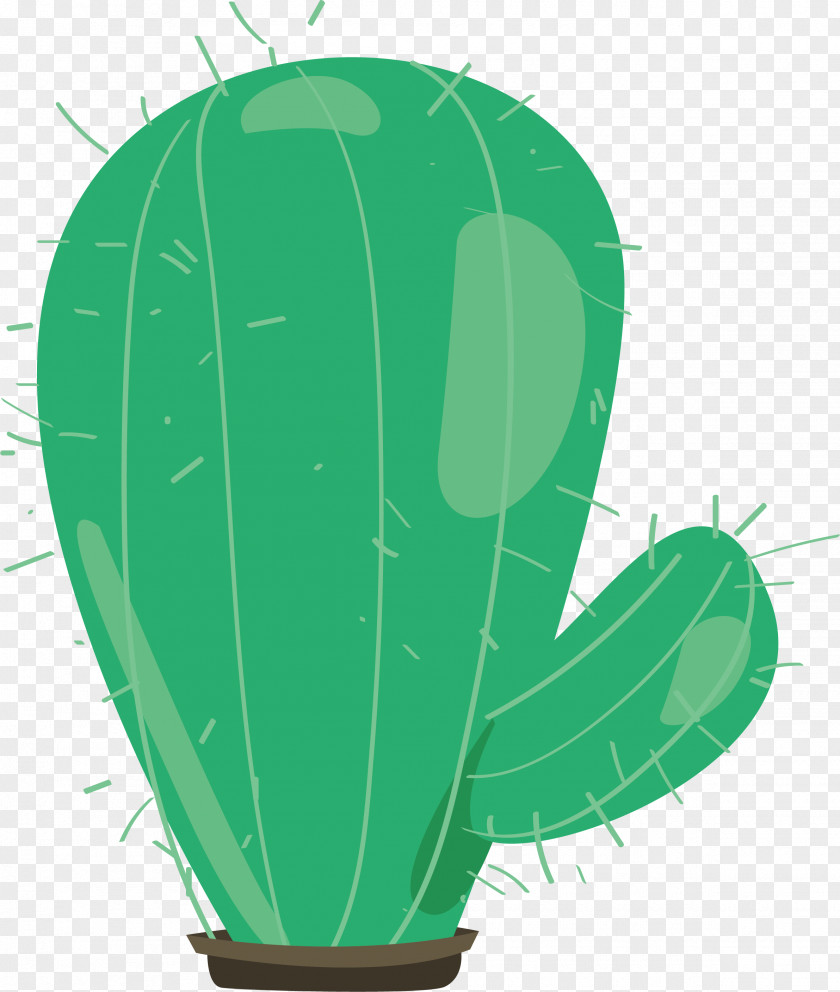 Green Cactus Cactaceae Desert Erg PNG