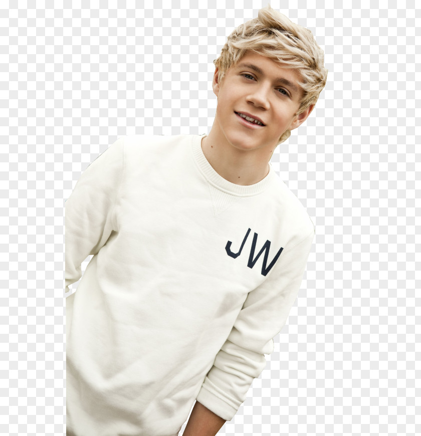 One Direction Niall Horan Male Boy Band Hairstyle PNG