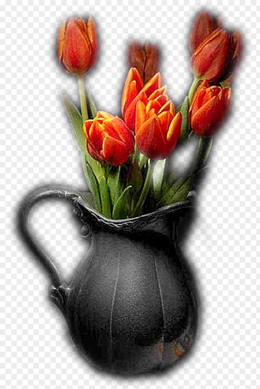 Tulip Flower Still Life Vase Floristry PNG