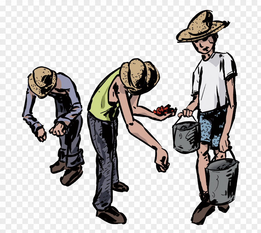Worker Cartoon Migrant Drawing PNG