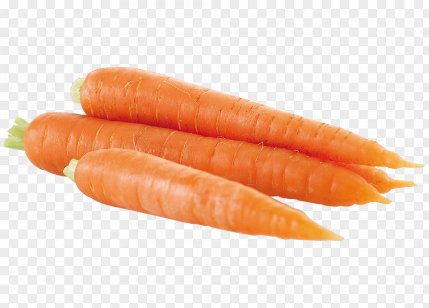 Carrot Baby Organic Food PNG