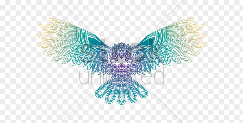 Owl Bird Vector Graphics Image Illustration PNG