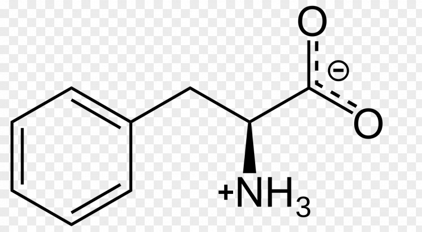 Phenylalanine Racemase Levodopa Tyrosine Phenylketonuria Amino Acid PNG