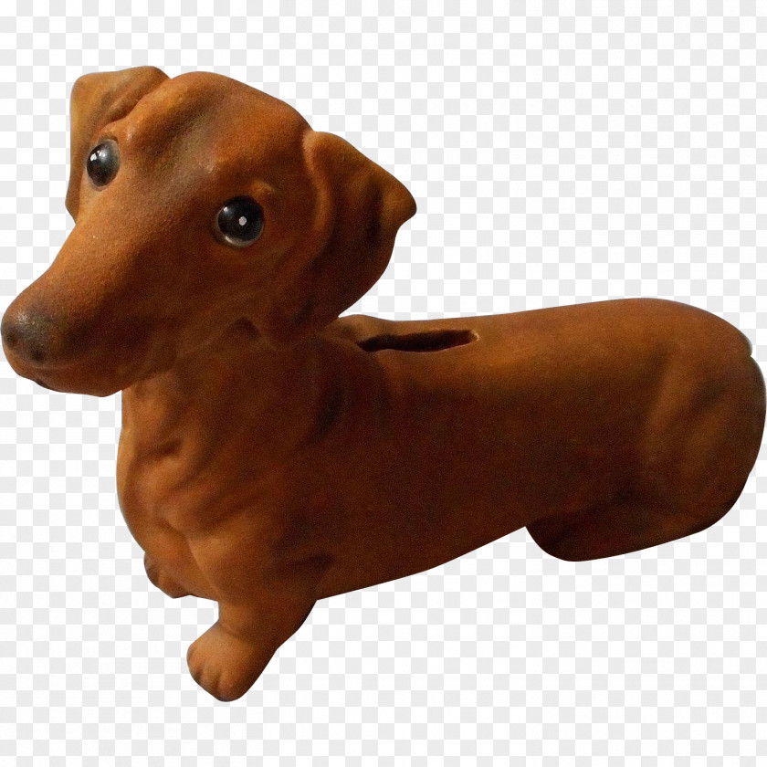 Puppy Dachshund Scent Hound Dog Breed PNG