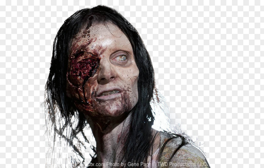 The Walking Dead Rick Grimes Shane Walsh Governor Andrea PNG Andrea, the walking dead clipart PNG