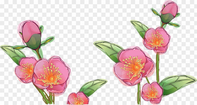 Flowers Drawing Flower PNG