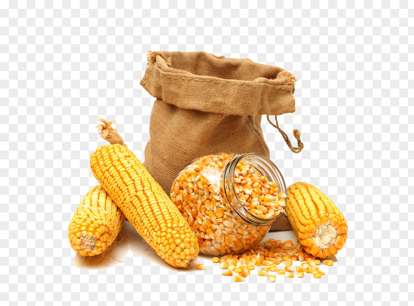 Golden Corn Maize On The Cob Sweet Kernel Grain PNG