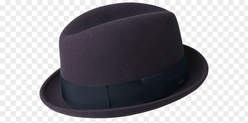 Moon Light Fedora PNG