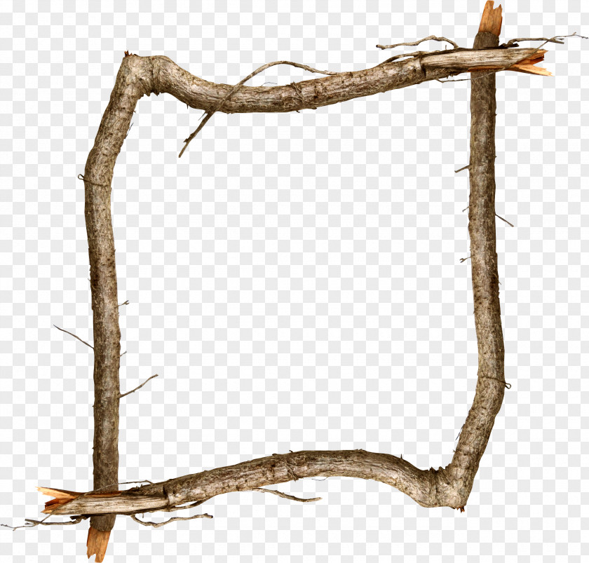 Straw Picture Frames Branch PNG