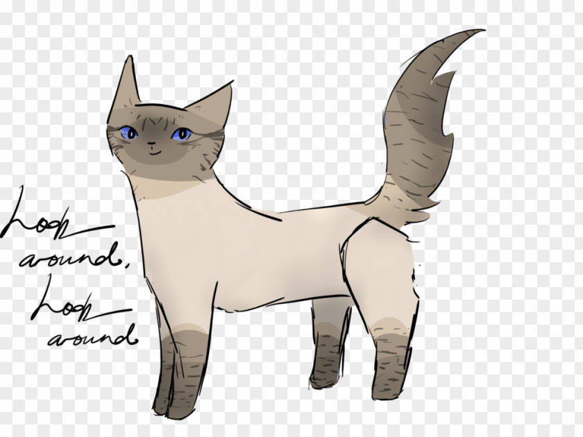 Turn Around And Look Domestic Short-haired Cat Kitten Hamilton Whiskers PNG