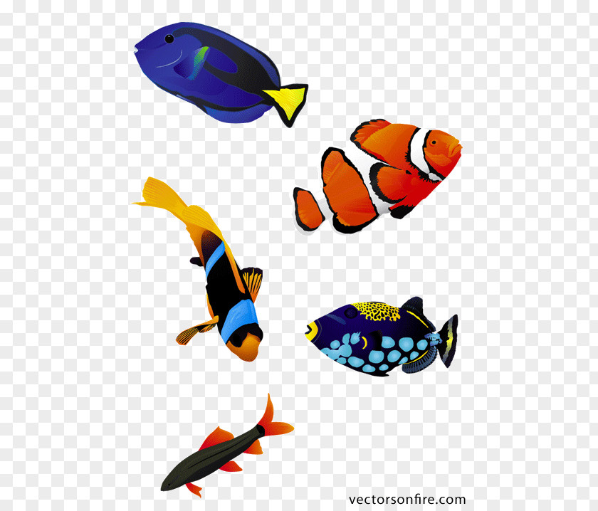 Aquarium Fish Koi Saltwater Clip Art PNG