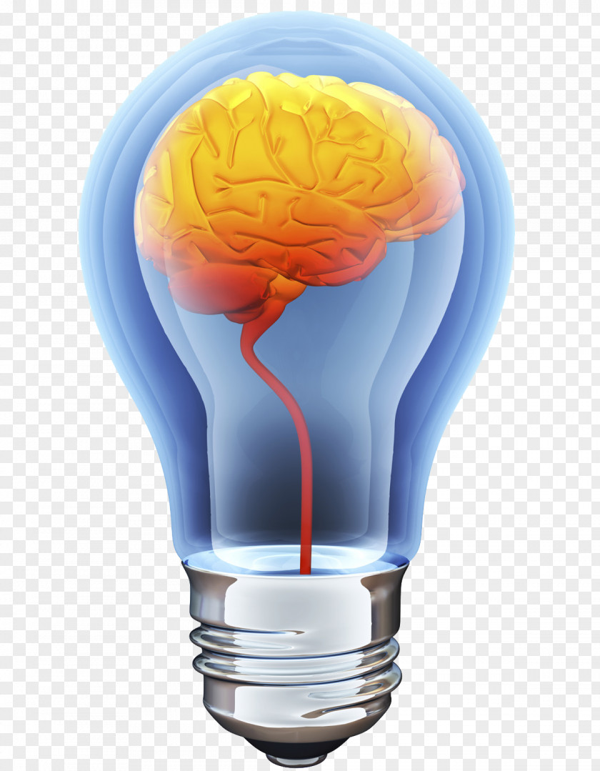 Brain Bulb Human Incandescent Light Stock Illustration PNG