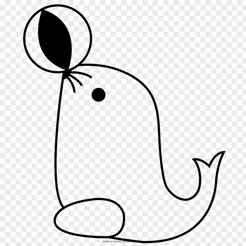 Earless Seal Drawing Coloring Book Black And White Line Art PNG