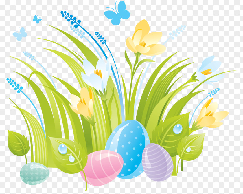 Easter Bunny Egg Picture Frames Clip Art PNG