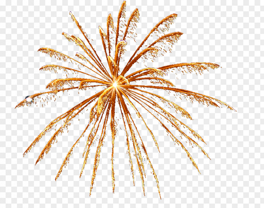 Fireworks Firecracker PNG