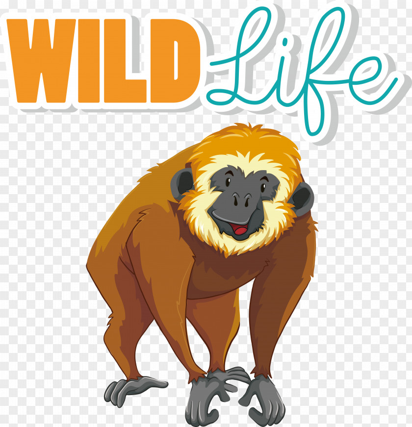 Gibbon Vector Drawing PNG