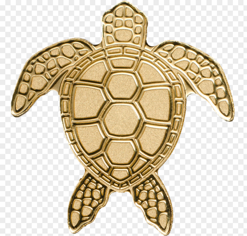 Turtle Gold Coin Palau PNG