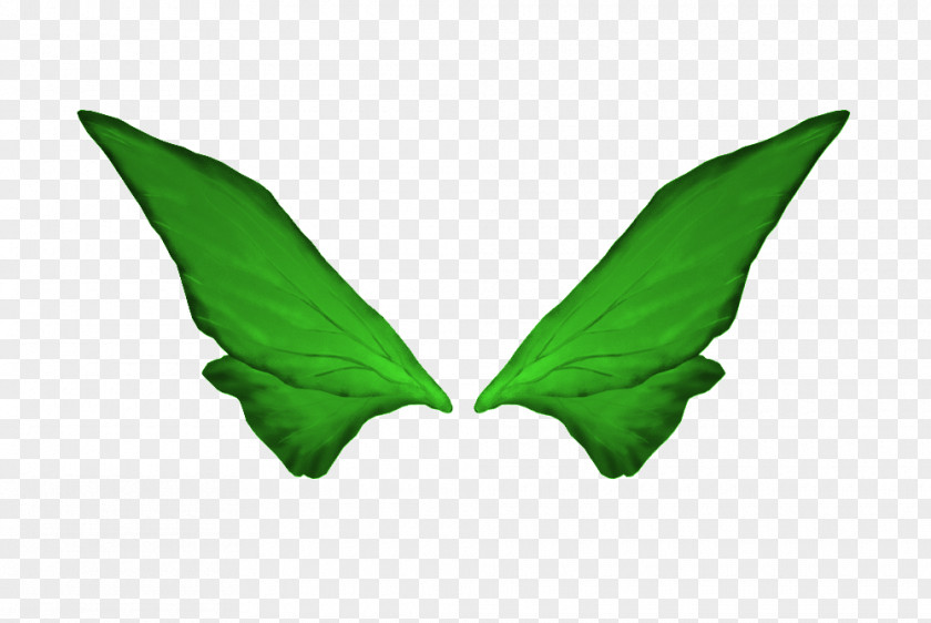 Wings To Pull The Material Elements, Hong Kong Google Images PNG