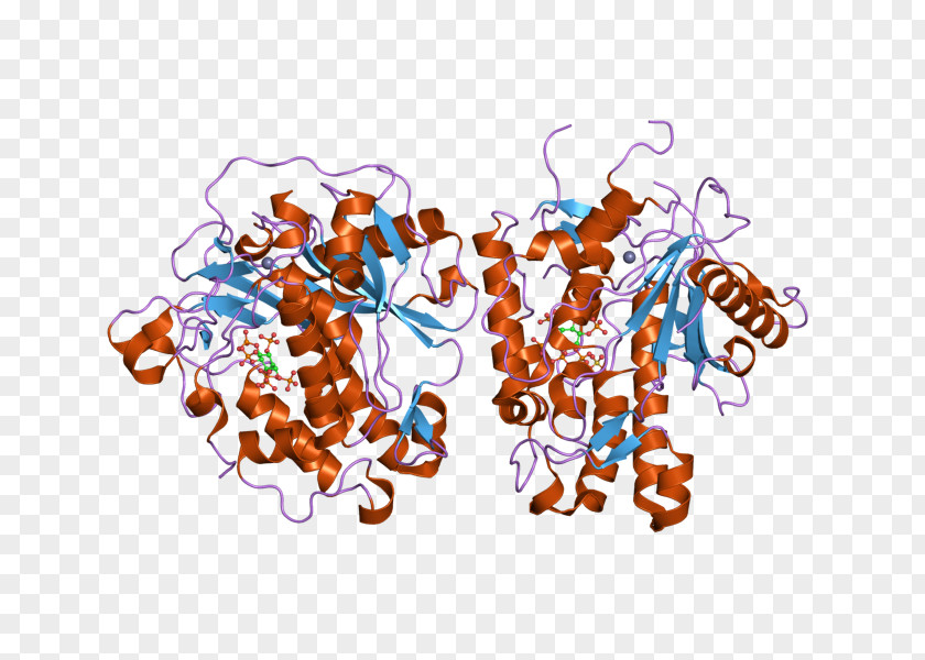 ADARB1 Precursor MRNA RNA Editing Genetic Code PNG