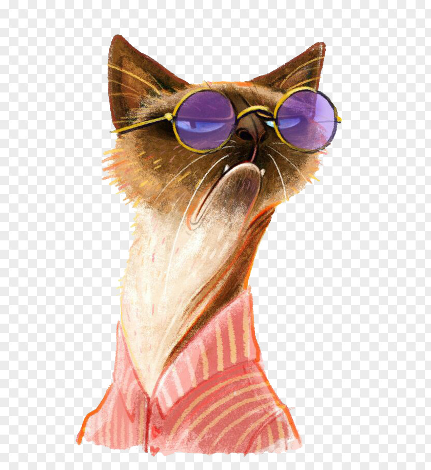 Bespectacled Cat T-shirt Morning Monday Names Of The Days Week PNG