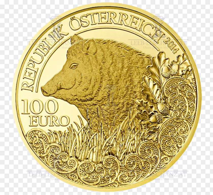 Coin Gold The Wild Boar PNG