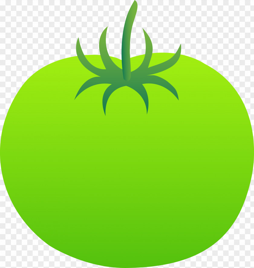 Green Clip Art Fried Tomatoes Vegetable Vegetarian Cuisine PNG