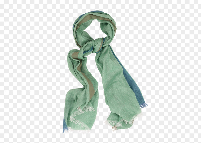 Green Scarf Silk Cashmere Wool Fringe Clothing Accessories PNG