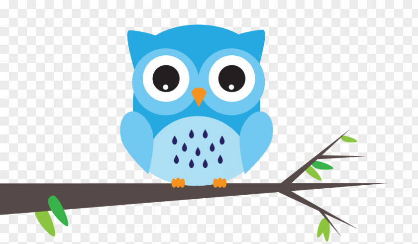 Owl Beak Bird PNG