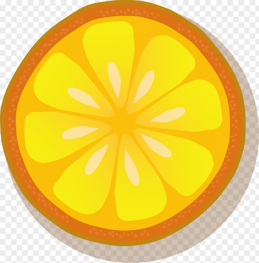 Vector Hand-painted Lemon Slices Euclidean PNG