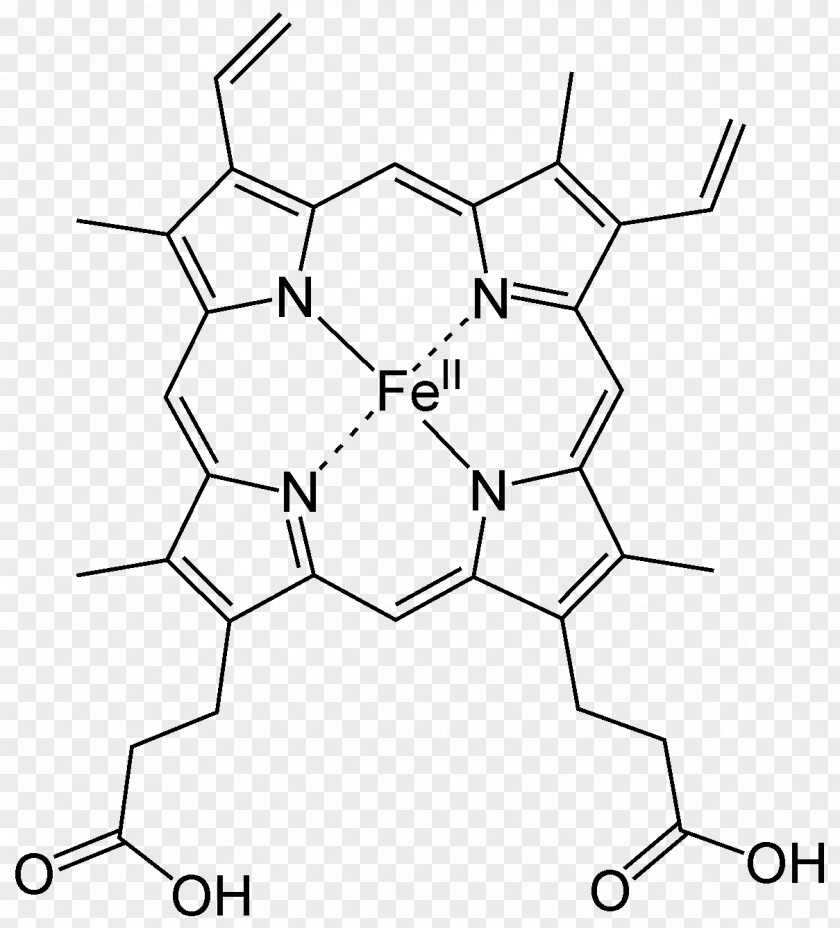 B Heme Hemoglobin Porphyrin Coordination Complex Hemin PNG