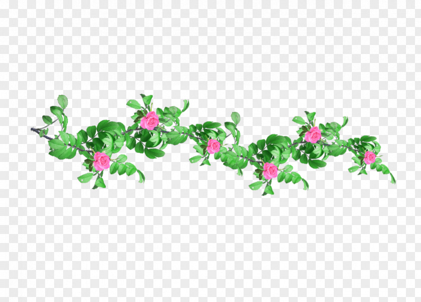 Chhattisgarh Pictogram Text Internet Quotation Graphics Flowering Plant PNG