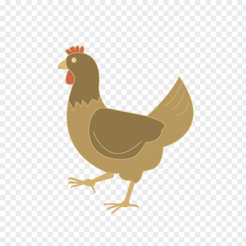 Cock Rooster Chicken Bird Illustration PNG