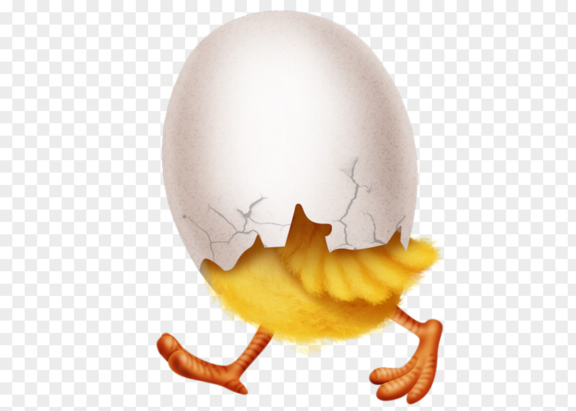 Egg Yolk Jaw PNG