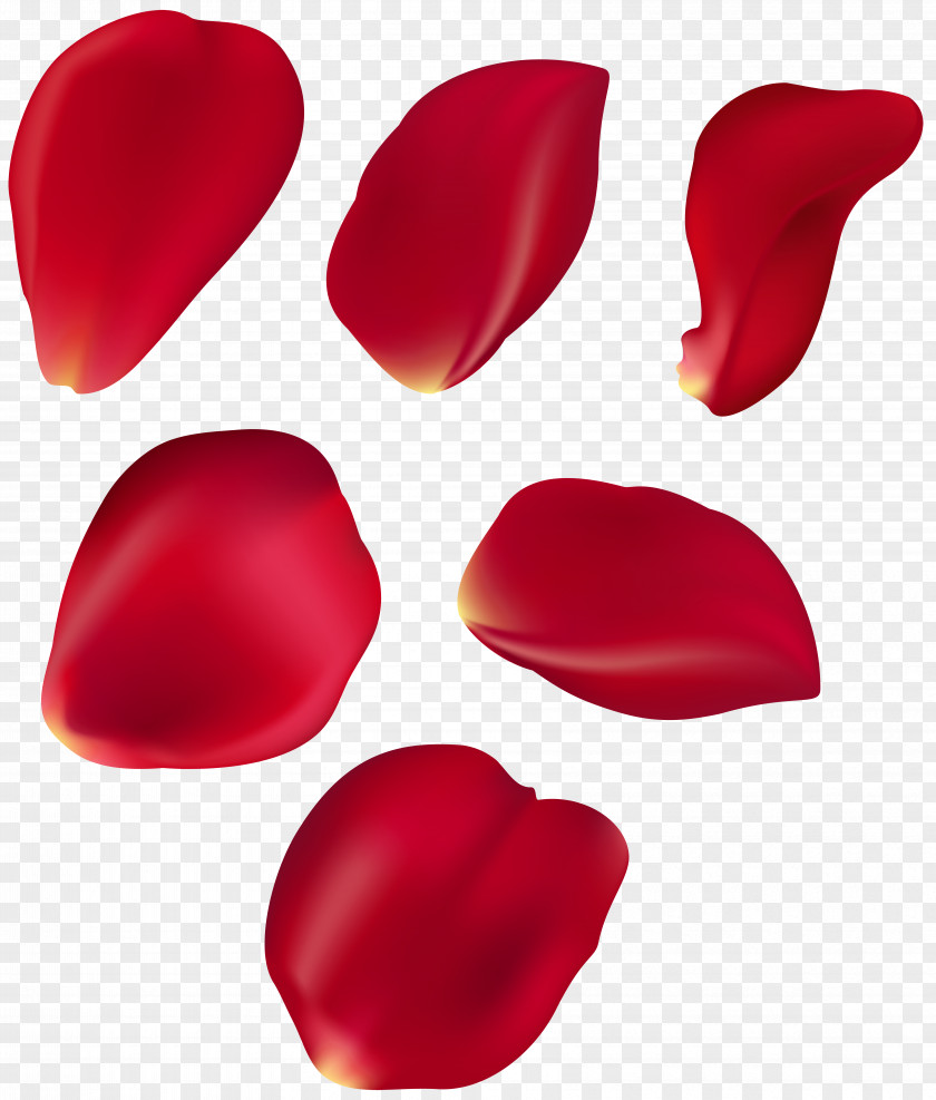 Floating Rose Petals Petal Blue Clip Art PNG