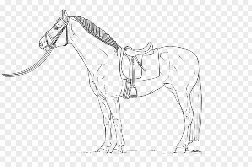 Horse Line Art Dressage Equestrian Drawing PNG