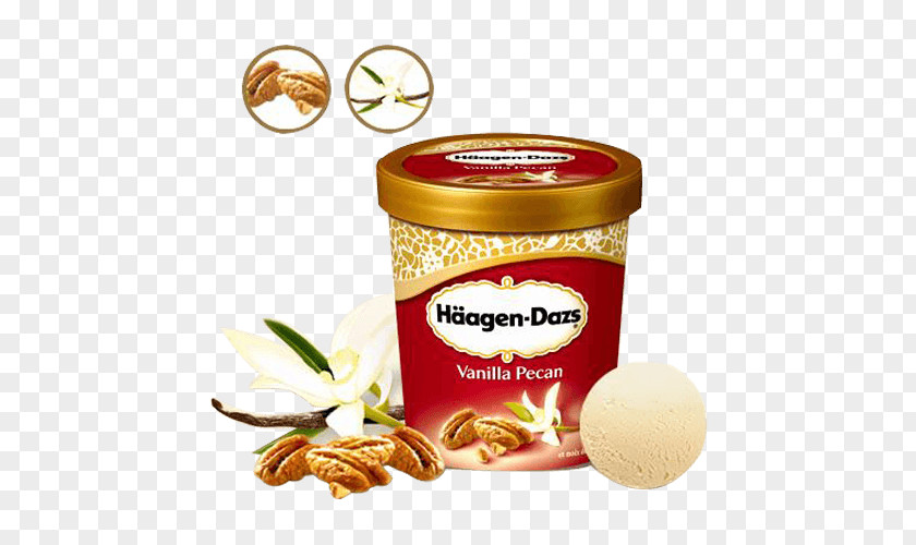 Ice Cream Pizza Vegetarian Cuisine Häagen-Dazs PNG