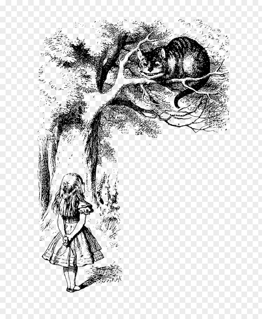 Quotation Alice's Adventures In Wonderland Cheshire Cat The Mad Hatter Red Queen PNG