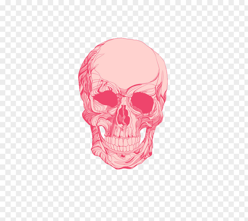 Skull Art Human Symbolism Printmaking PNG