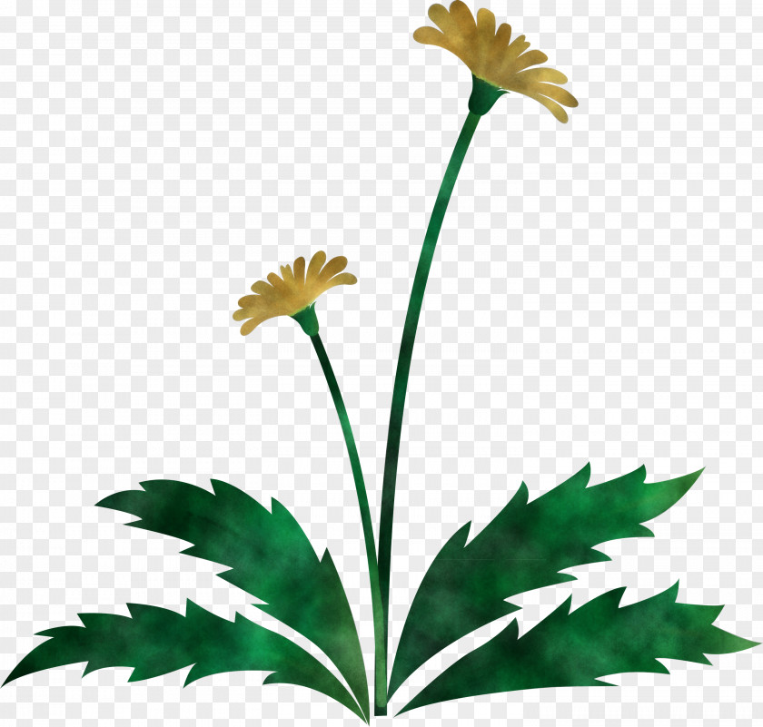 Dandelion Flower Easter Day Spring PNG