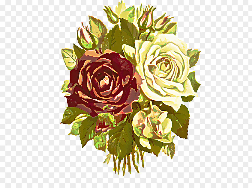 Floristry Flowering Plant Garden Roses PNG