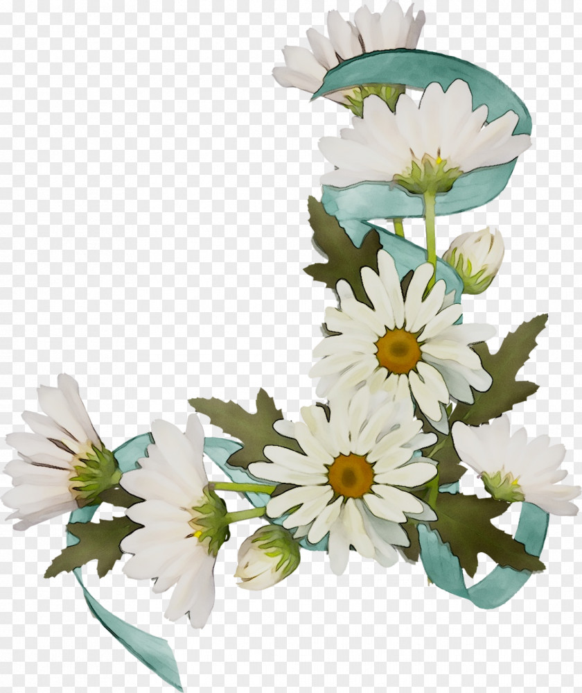 Picture Frames Photography Floral Design Cut Flowers PNG