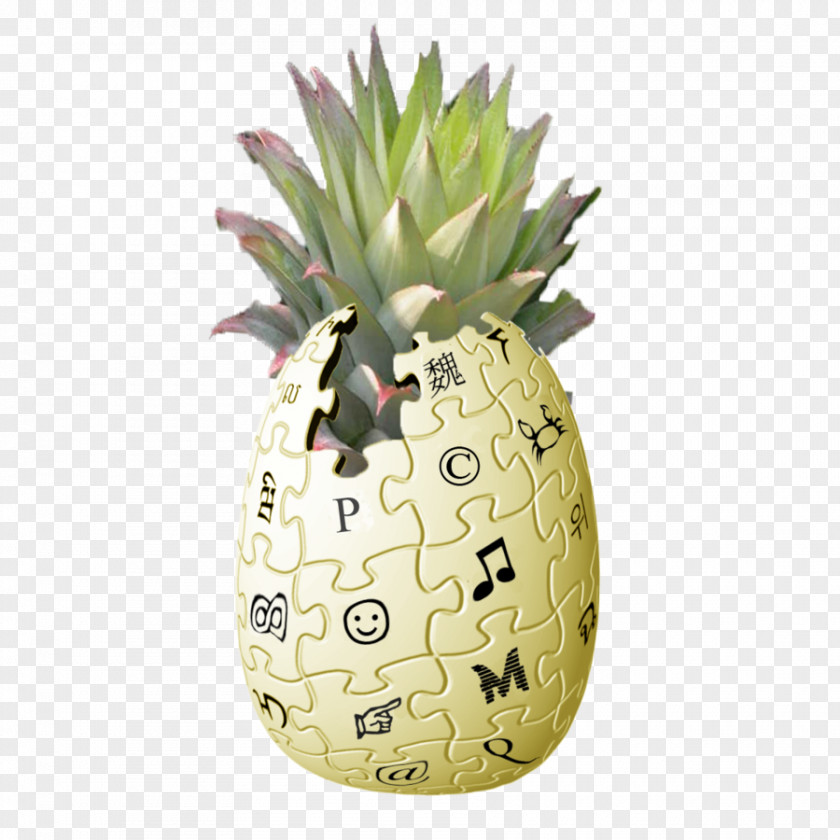 Pineapple Encyclopedia Food Fruit Plant PNG