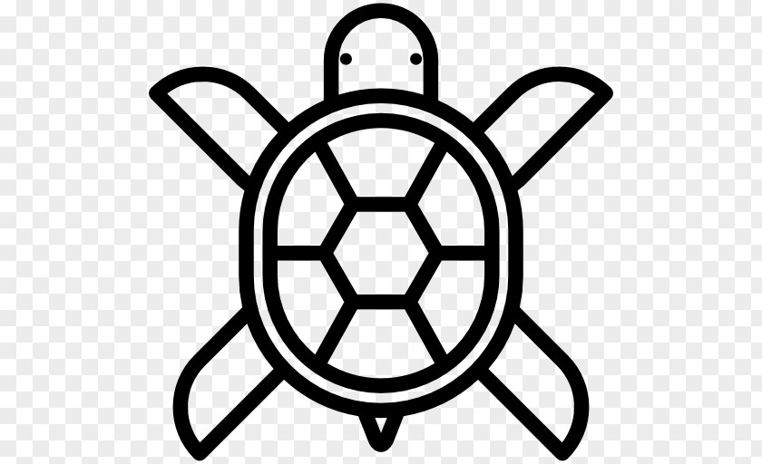 Coin Bitcoin Business Cryptocurrency Turtle PNG