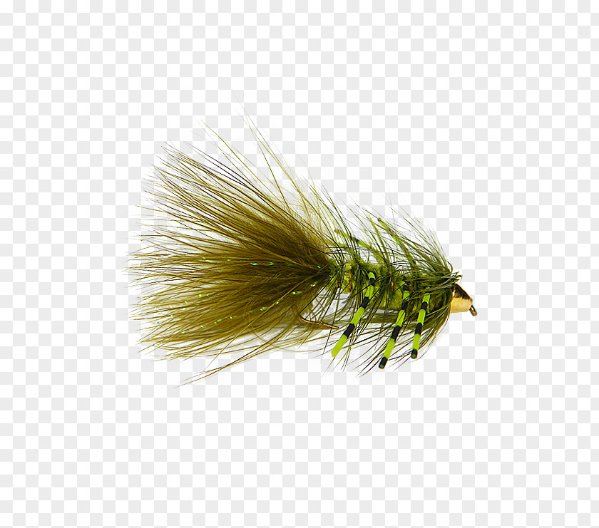 Fly Artificial Woolly Bugger Fishing Bead PNG