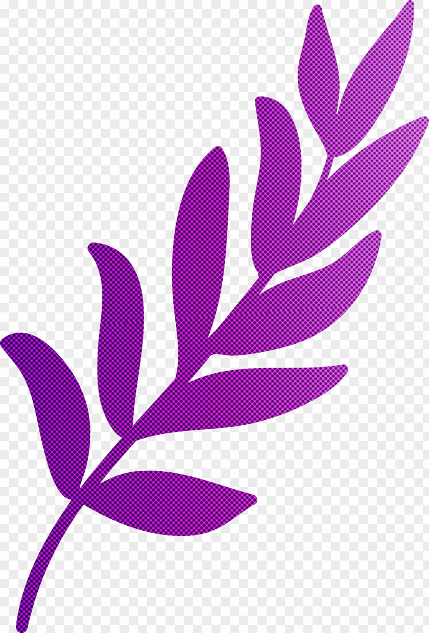 Leaf PNG