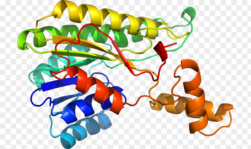 Pseudomonas Organism Clip Art PNG