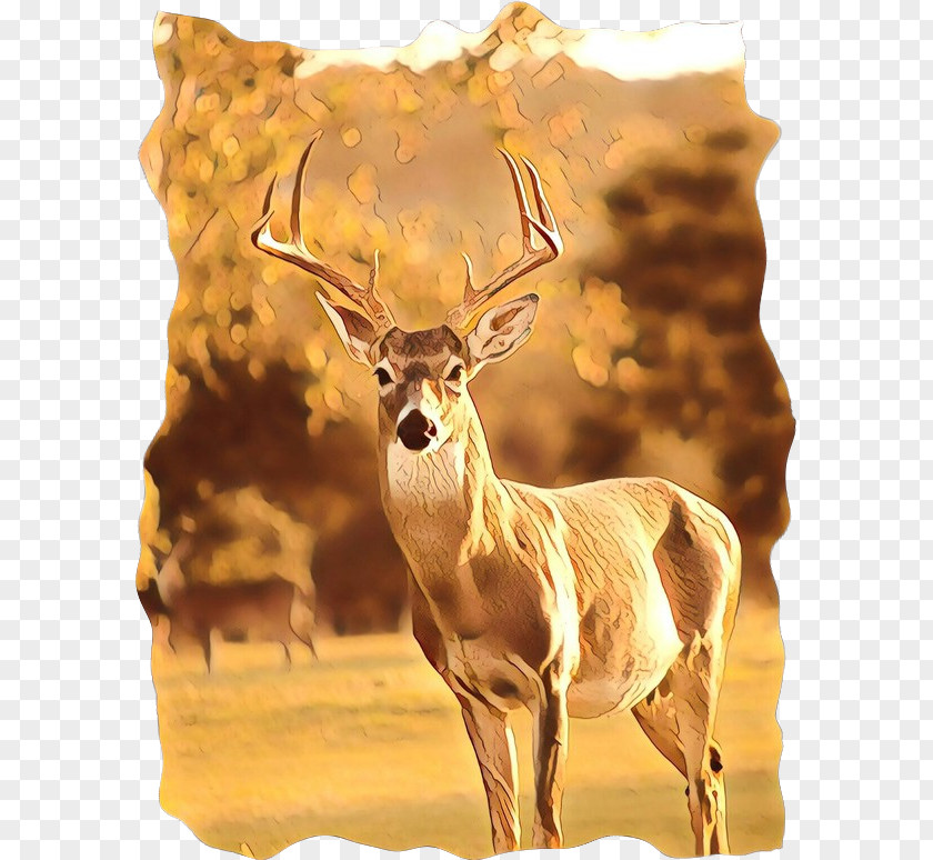 Roe Deer Elk Reindeer Cartoon PNG