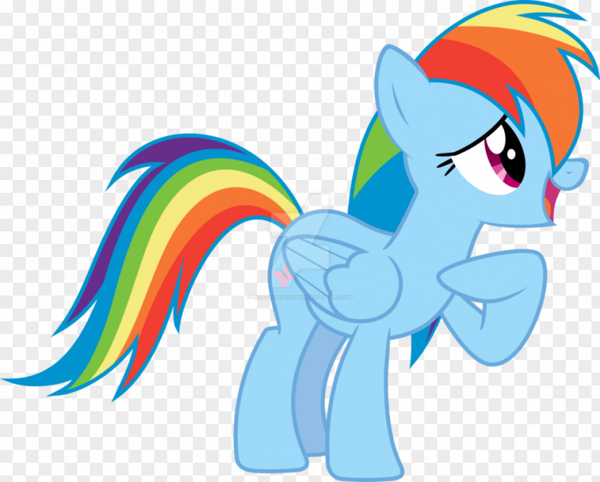 Shy Rainbow Dash Pony Fluttershy Twilight Sparkle Rarity PNG